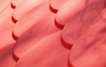 Risley plastic roof costs